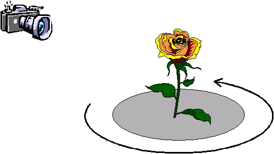 dgrm_flower_capture.jpg